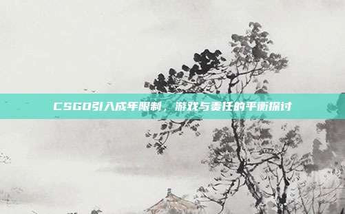 CSGO引入成年限制,游戏与责任的平衡探讨