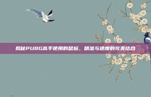 揭秘PUBG高手使用的鼠标,精准与速度的完美结合