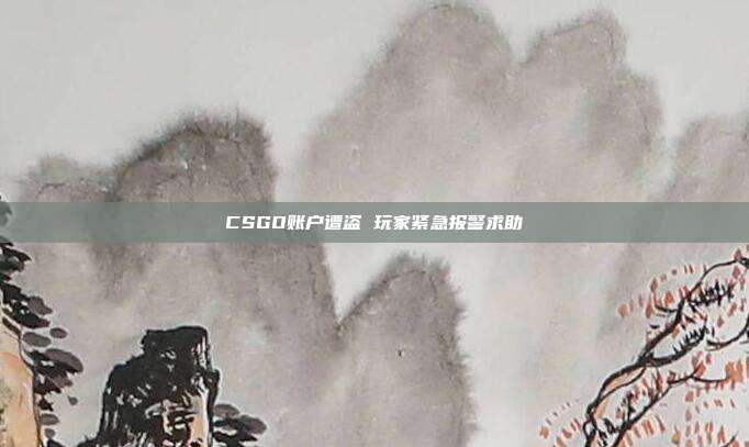 CSGO账户遭盗 玩家紧急报警求助