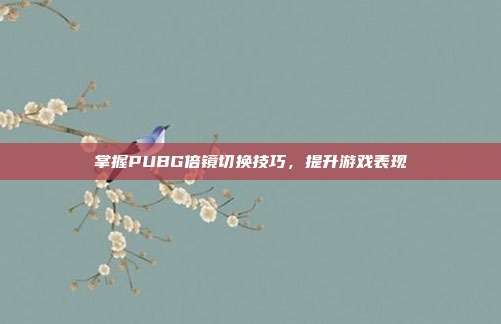 掌握PUBG倍镜切换技巧,提升游戏表现