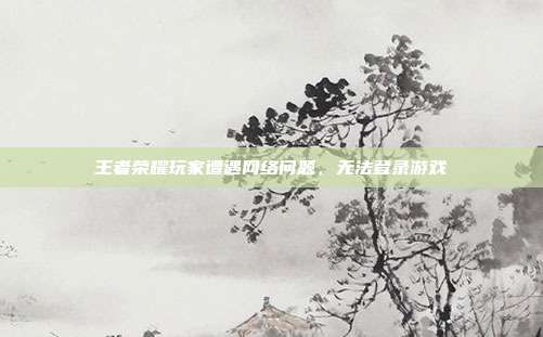 王者荣耀玩家遭遇网络问题，无法登录游戏