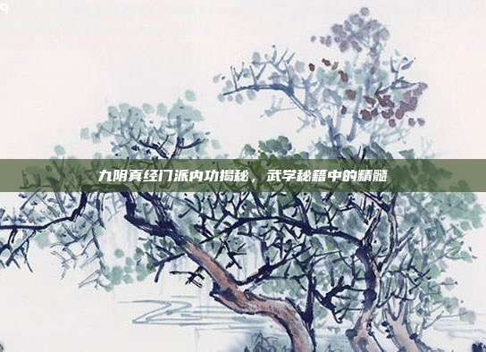 九阴真经门派内功揭秘,武学秘籍中的精髓