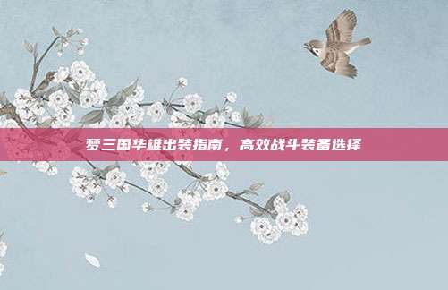 梦三国华雄出装指南,高效战斗装备选择