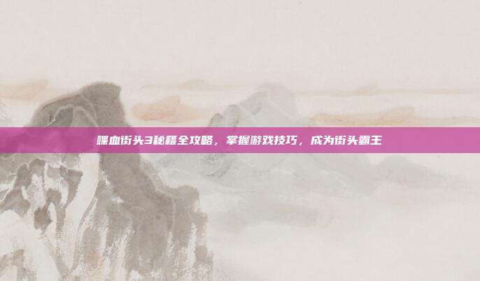 喋血街头3秘籍全攻略,掌握游戏技巧,成为街头霸王