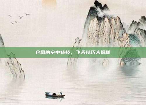 仓鼠的空中特技,飞天技巧大揭秘