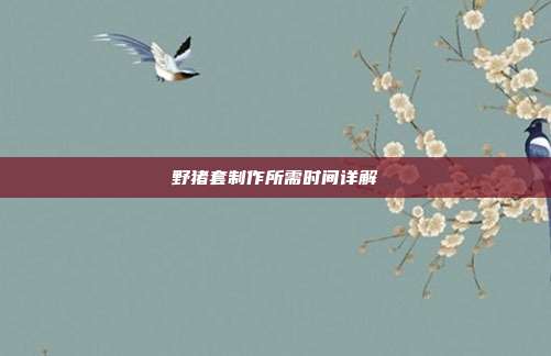 野猪套制作所需时间详解