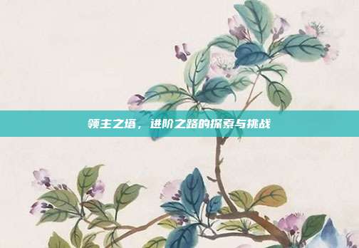 领主之塔,进阶之路的探索与挑战