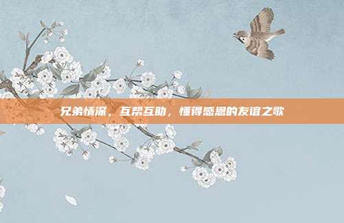 兄弟情深,互帮互助,懂得感恩的友谊之歌