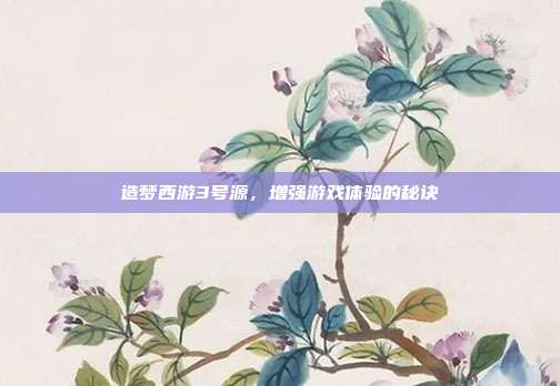 造梦西游3号源,增强游戏体验的秘诀