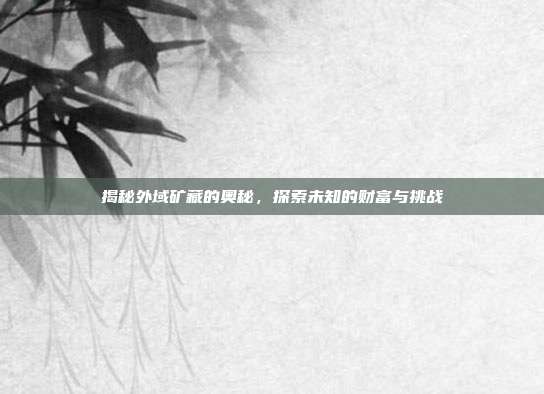 揭秘外域矿藏的奥秘,探索未知的财富与挑战