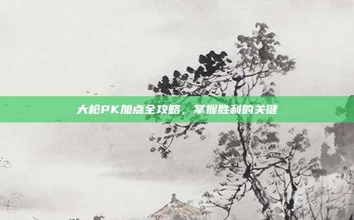 大枪PK加点全攻略,掌握胜利的关键