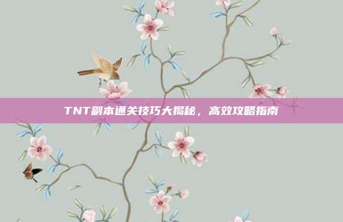 TNT副本通关技巧大揭秘,高效攻略指南