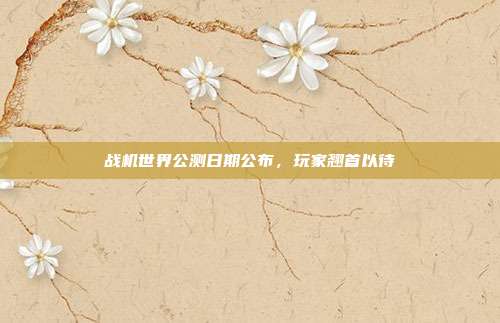 战机世界公测日期公布,玩家翘首以待
