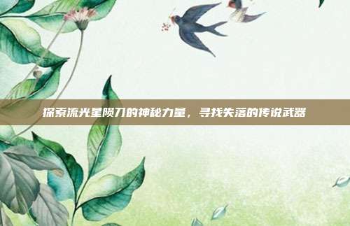 探索流光星陨刀的神秘力量,寻找失落的传说武器