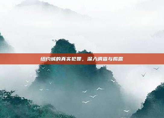 纽约城的真实犯罪,深入调查与揭露
