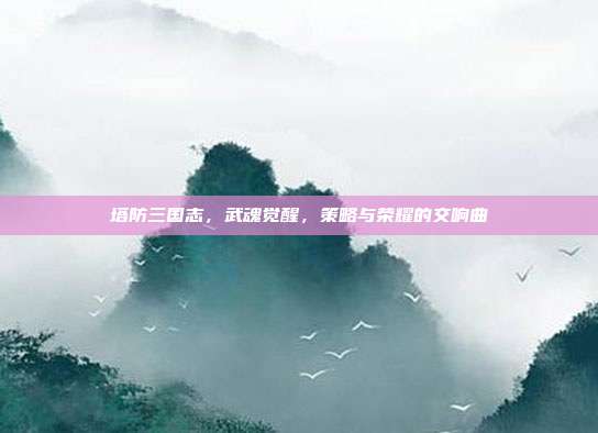 塔防三国志,武魂觉醒,策略与荣耀的交响曲