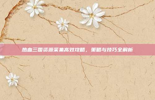 热血三国资源采集高效攻略,策略与技巧全解析