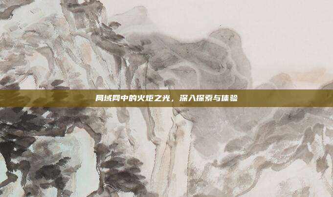 局域网中的火炬之光,深入探索与体验