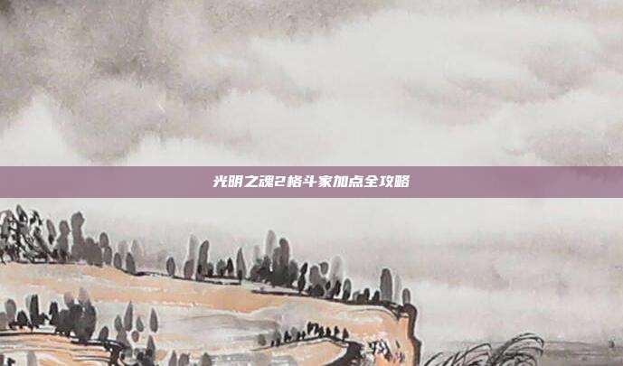 光明之魂2格斗家加点全攻略