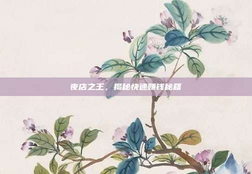 夜店之王,揭秘快速赚钱秘籍
