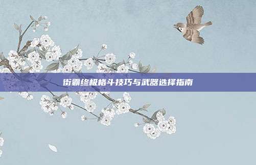 街霸终极格斗技巧与武器选择指南