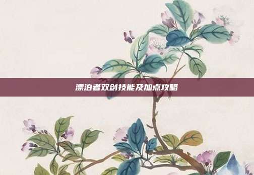 漂泊者双剑技能及加点攻略