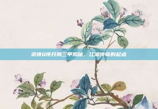 武侠Q传开局三甲揭秘,江湖传奇的起点