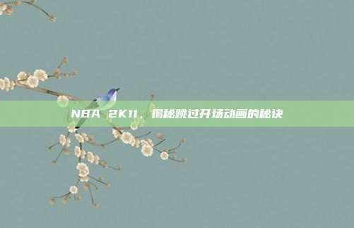 NBA 2K11,揭秘跳过开场动画的秘诀