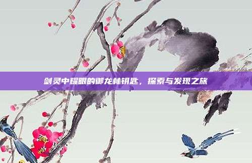 剑灵中耀眼的御龙林钥匙,探索与发现之旅
