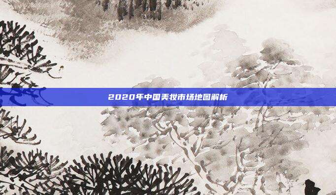 2020年中国美妆市场地图解析