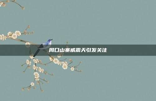 周口山寨威震天引发关注