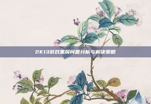 2K13游戏黑屏问题分析与解决策略