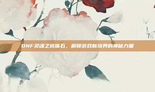 DNF灵魂之抗体石,解锁游戏新境界的神秘力量