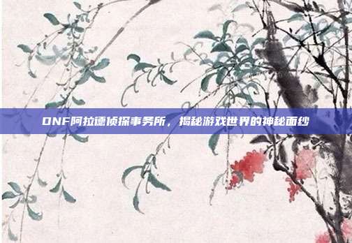 DNF阿拉德侦探事务所,揭秘游戏世界的神秘面纱