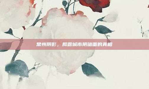 常州阴影,揭露城市阴暗面的真相