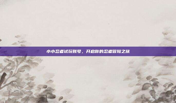 小小忍者试玩账号,开启你的忍者冒险之旅