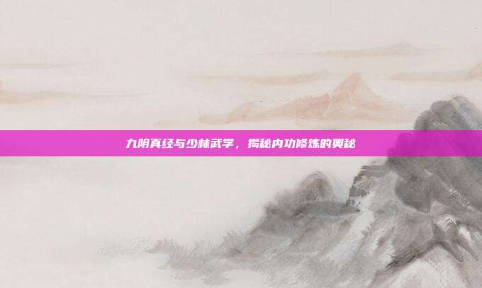 九阴真经与少林武学,揭秘内功修炼的奥秘
