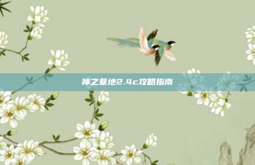 神之墓地2.4c攻略指南