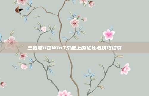 三国志11在Win7系统上的优化与技巧指南