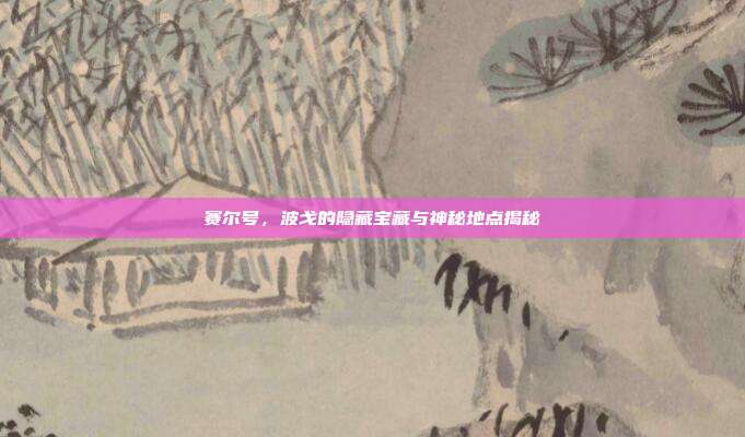 赛尔号,波戈的隐藏宝藏与神秘地点揭秘