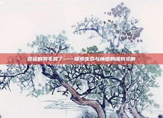 命运的羽毛哭了——探索生命与情感的深刻交响