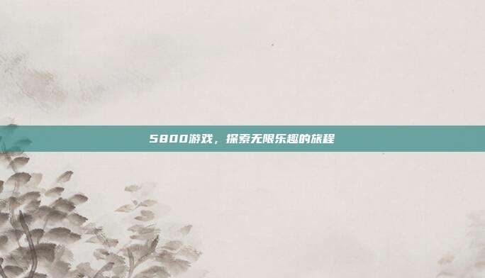 5800游戏,探索无限乐趣的旅程