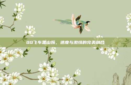 QQ飞车黑山妖,速度与激情的完美融合