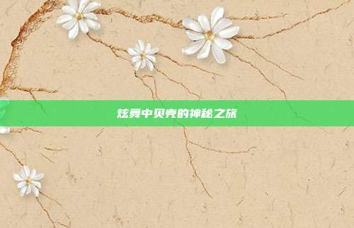炫舞中贝壳的神秘之旅