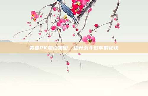 贤者PK加点策略,提升战斗效率的秘诀