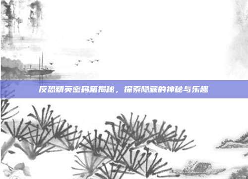 反恐精英密码箱揭秘,探索隐藏的神秘与乐趣