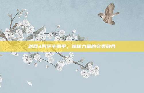 剑网3阿萨辛铜甲,神秘力量的完美融合