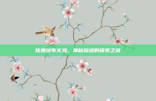 炫舞绒布火鸡,神秘踪迹的探索之旅