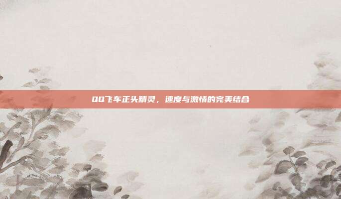 QQ飞车正头精灵,速度与激情的完美结合