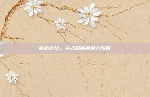 穿越火线,兰式枪械的魅力解析